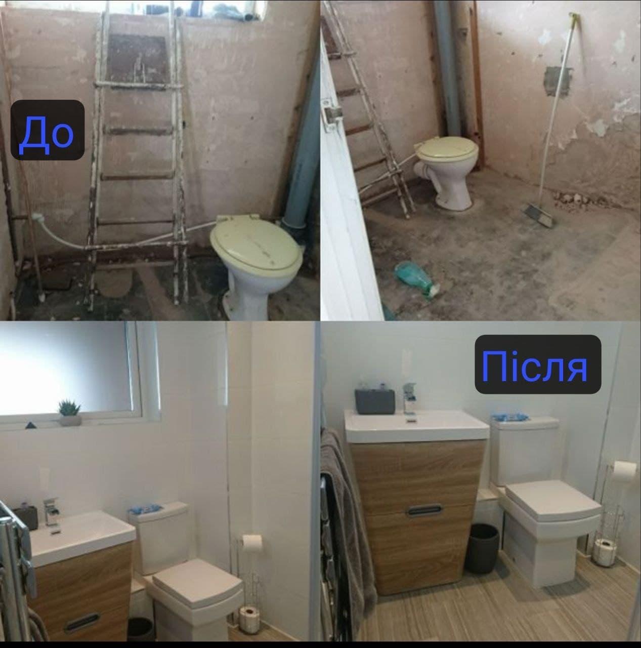 Виконана робота 5